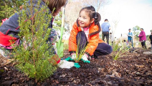 Auckland Council backs environmental stars with a burst of funding preview image