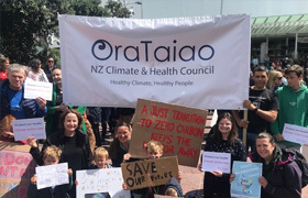 OraTaiao : New Zealand Climate & Health Council image