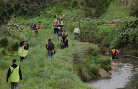 Beautification Trust image